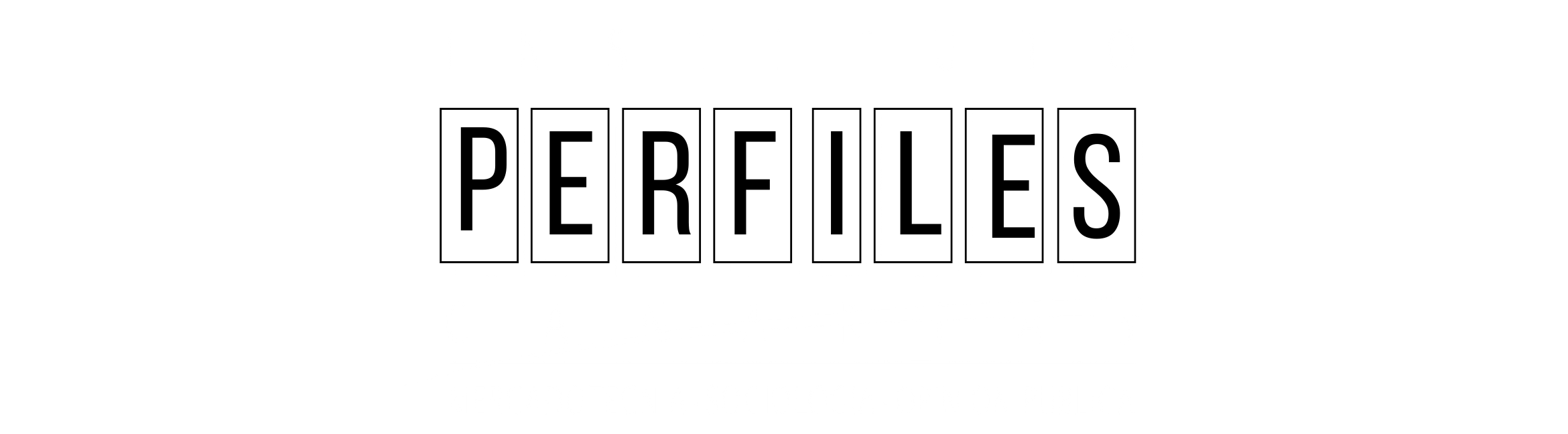 Insttuto Perfiles